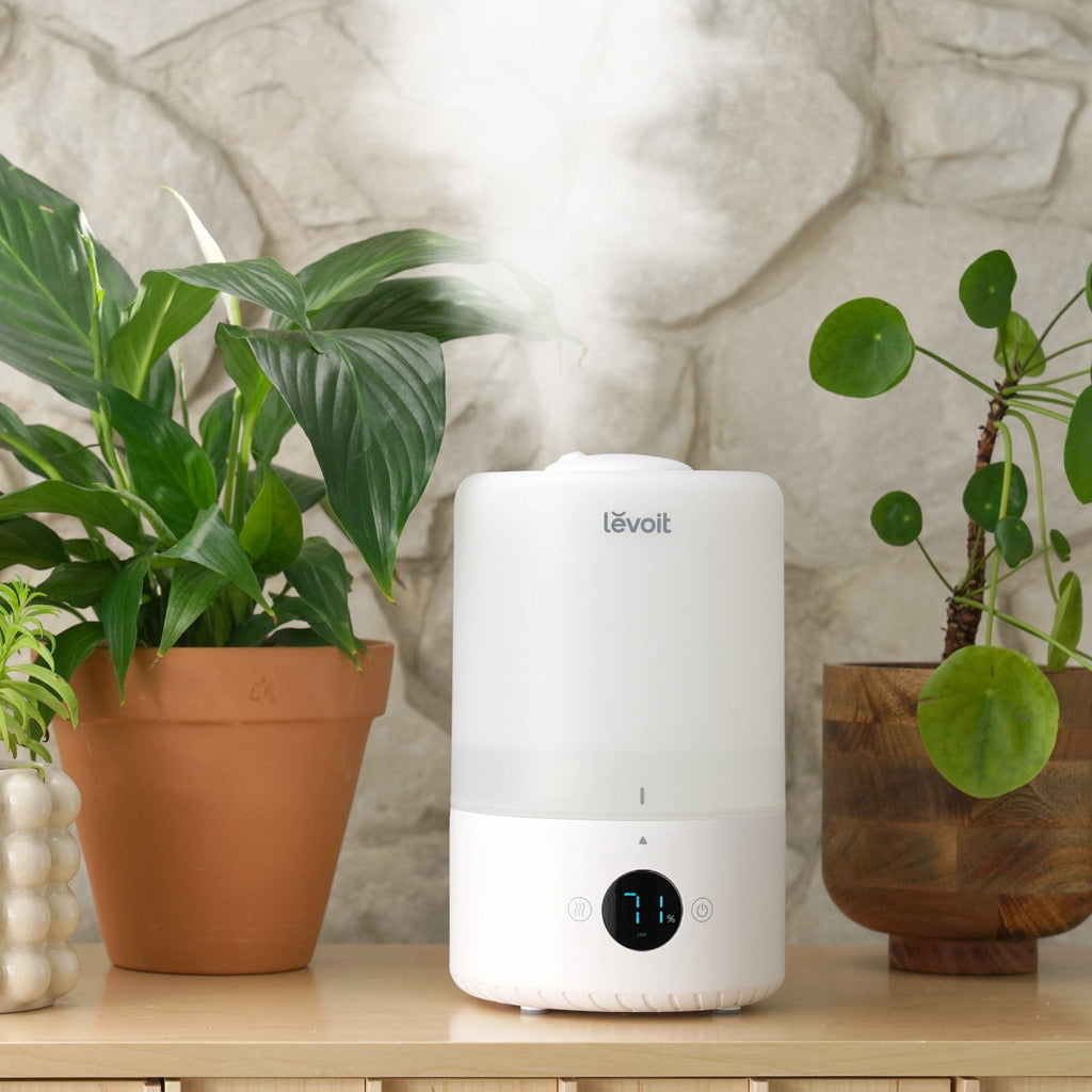 Dual 200S Smart Top-Fill Humidifier