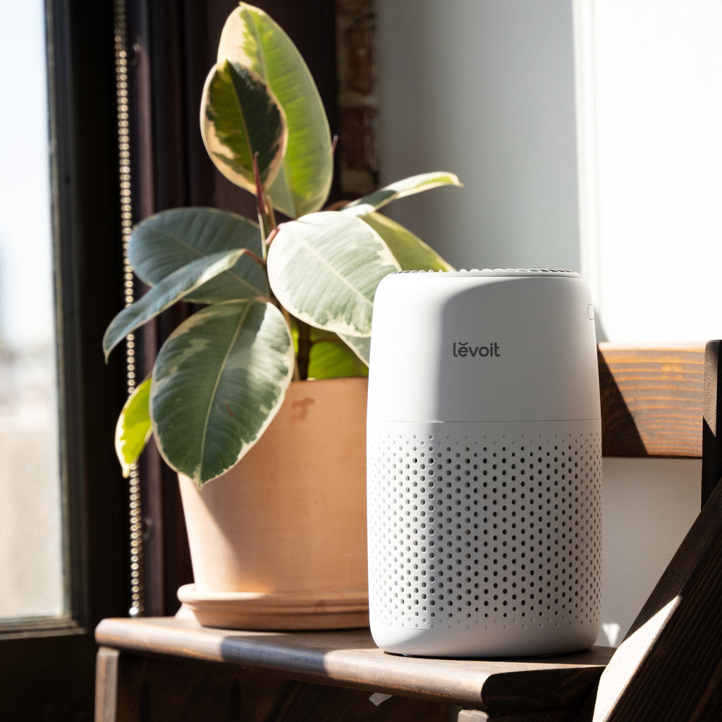 Levoit Core® Mini-P Air Purifier