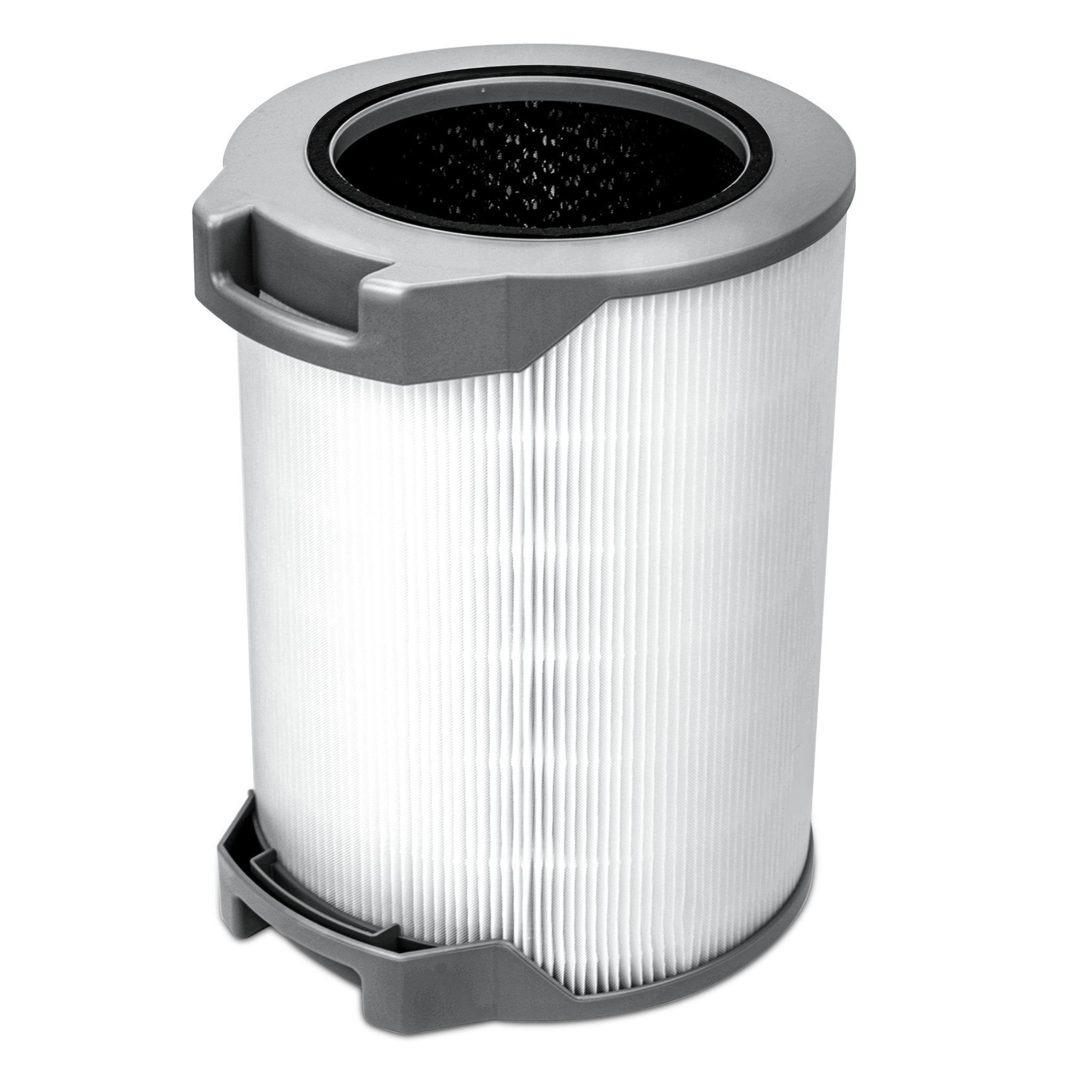 LV-H134 Replacement Filter