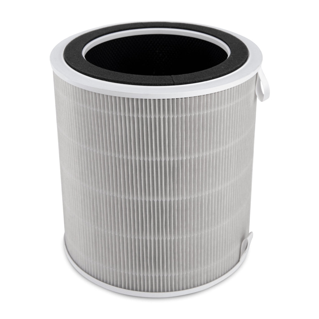 LV-H135 Replacement Filter