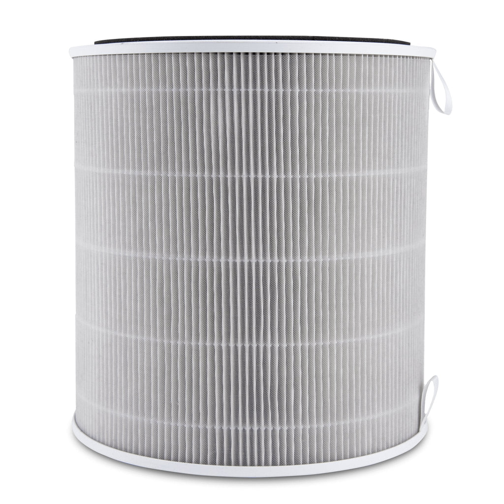 LV-H135 Replacement Filter