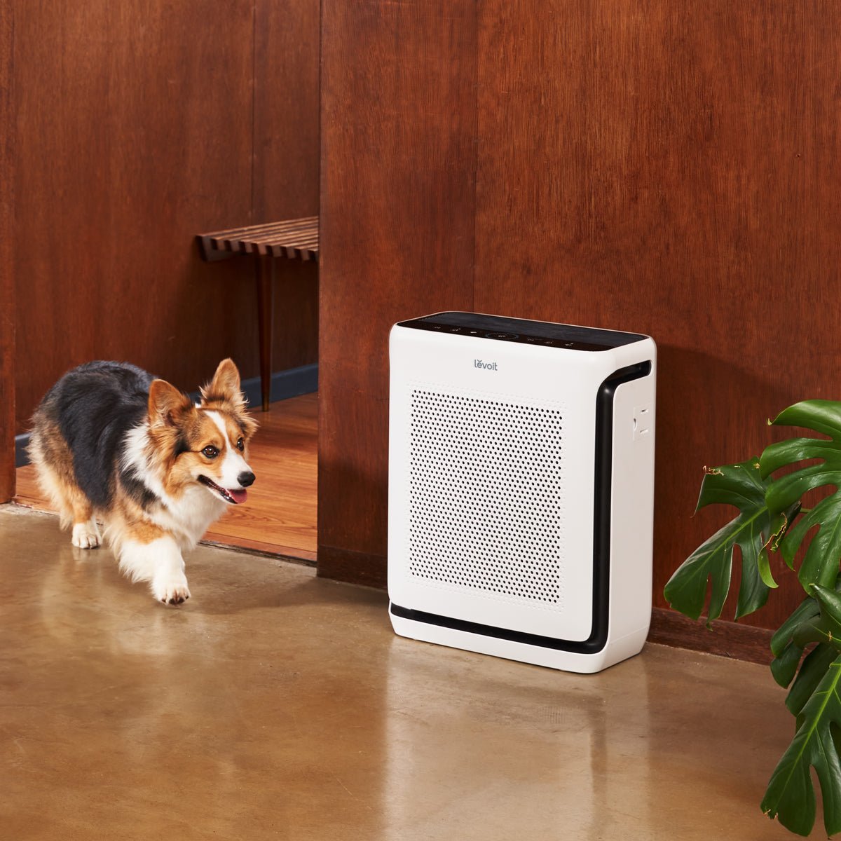 Vital 200S-P Smart Air Purifier